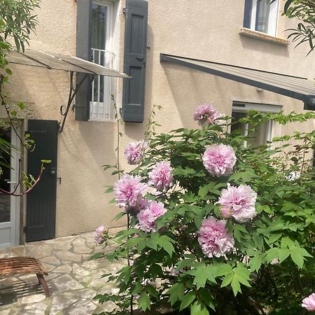 Maison Delmas, L'Oustal Du Recantu Sainte-Eulalie  Buitenkant foto