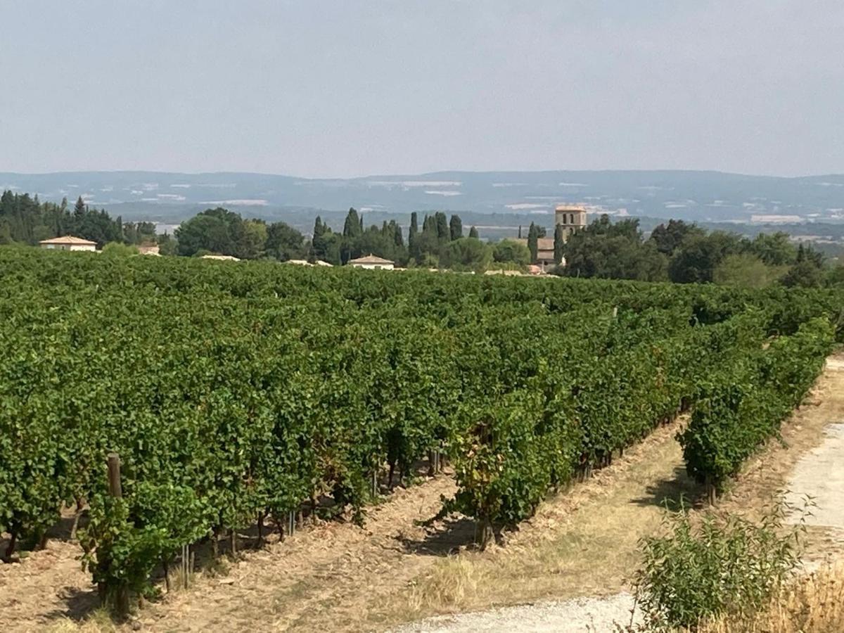 Maison Delmas, L'Oustal Du Recantu Sainte-Eulalie  Buitenkant foto